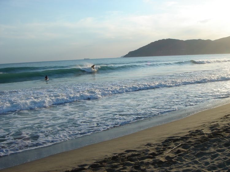 surf